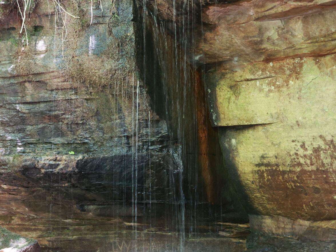 Explore nature's masterpieces without leaving the Magnolia State